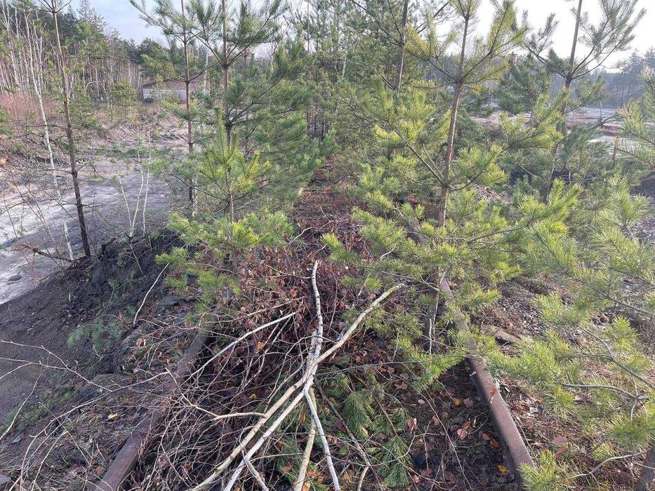 Оренда за адресою: м. Дубровиця, вул. Гагаріна, 16