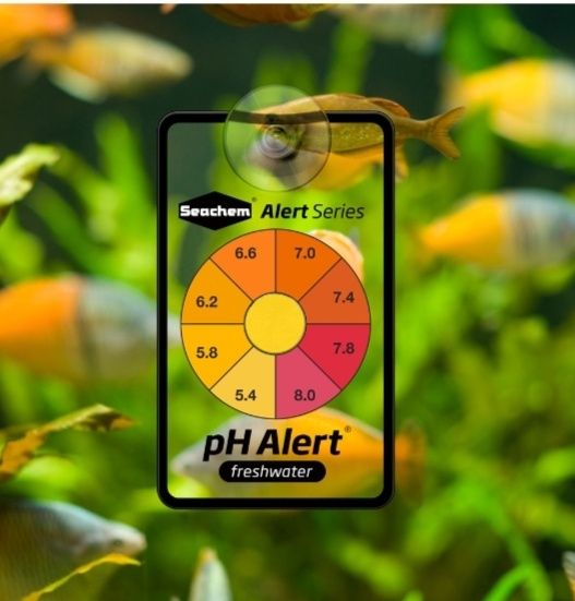 Seachem  "pH Alert"
