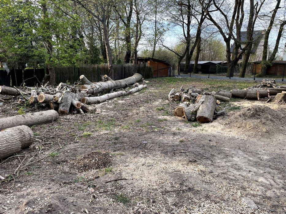 Koszenie trawy, wycinka drzew, oczyszczanie terenu, wykopy, zamiatarka