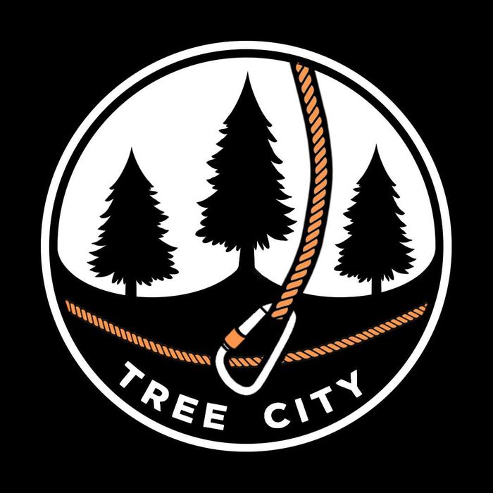 TREE CITY – profesjonalna wycinka drzew i usługi ogrodowe