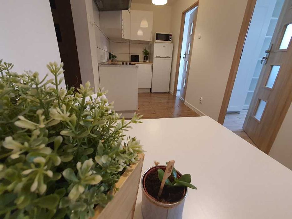 Piękny pokój na Jeżycach