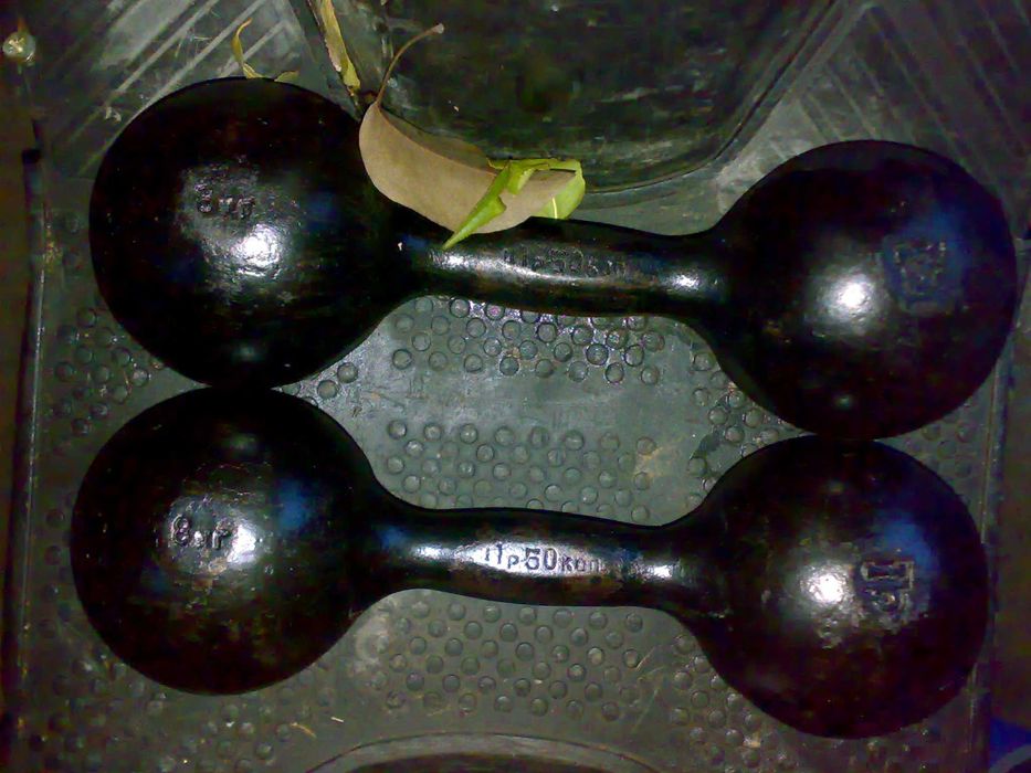 товары для школьников .гантели 10 кг