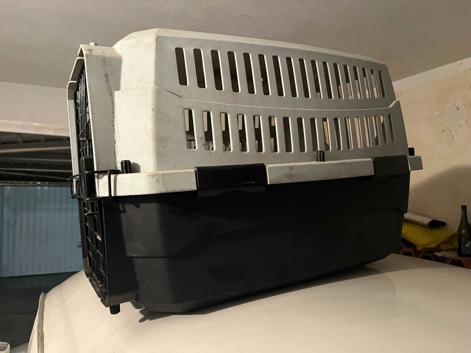 Transportadora de Cães (Box)
