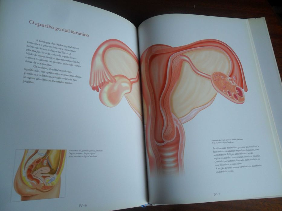 "Atlas da Arte Anatómica" de Dr. Luis Raúl Lépori 1ª Edição de 2006