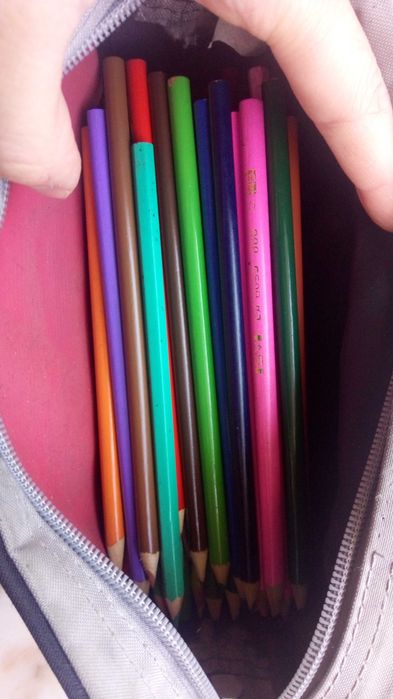 Estojo com lápis de cor