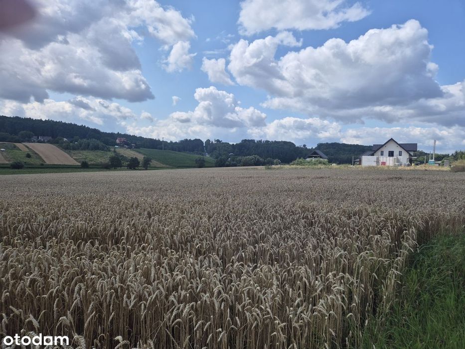 Piękna działka z widokiem na las - 8arów, ładne wymiary.