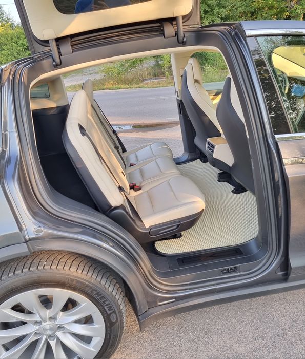 Тесла Х Tesla X 100 з Нідерландів Intel