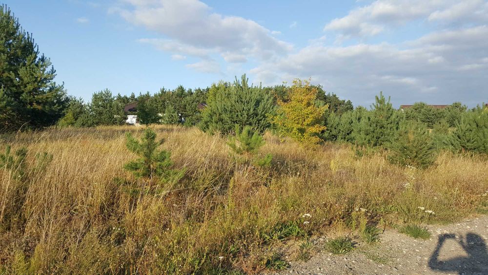 Działka budowlana nad jeziorem, Las, Blisko Poznania Pilnie sprzedam
