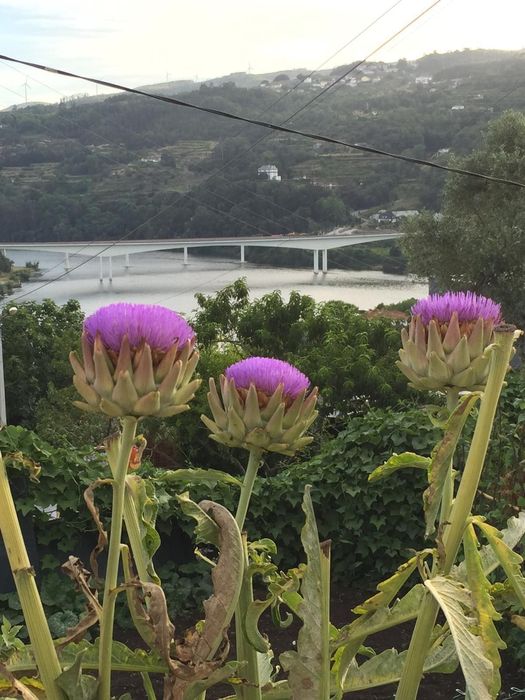 vistas maravilhosas sobre o rio (Casa em Pedra)