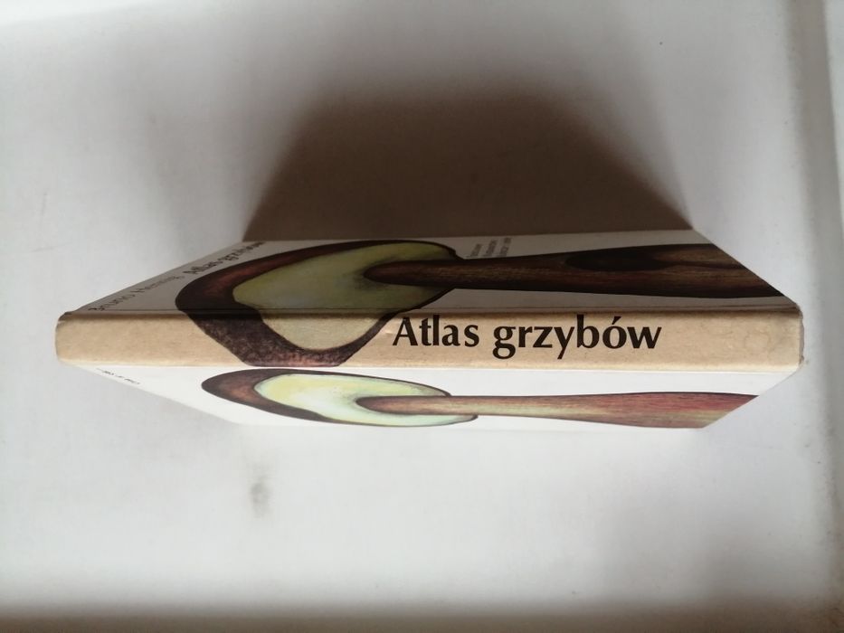 Atlas grzybów - Bruno Henning