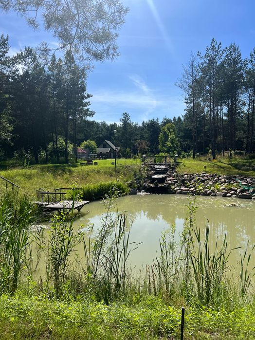 Całoroczny Domek w Borach Tucholskich z Balią Ogrodową!