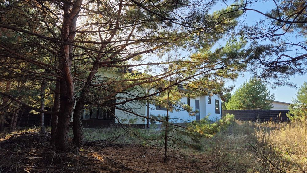 Будинок 130 м² на 9,27 сотки серед сосен — централізовані комунікації, покращена комплектація, огороджена територія