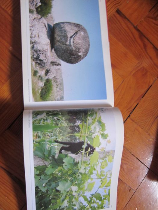 Livro Portugal Cconnosco, O olhar dos carteiros