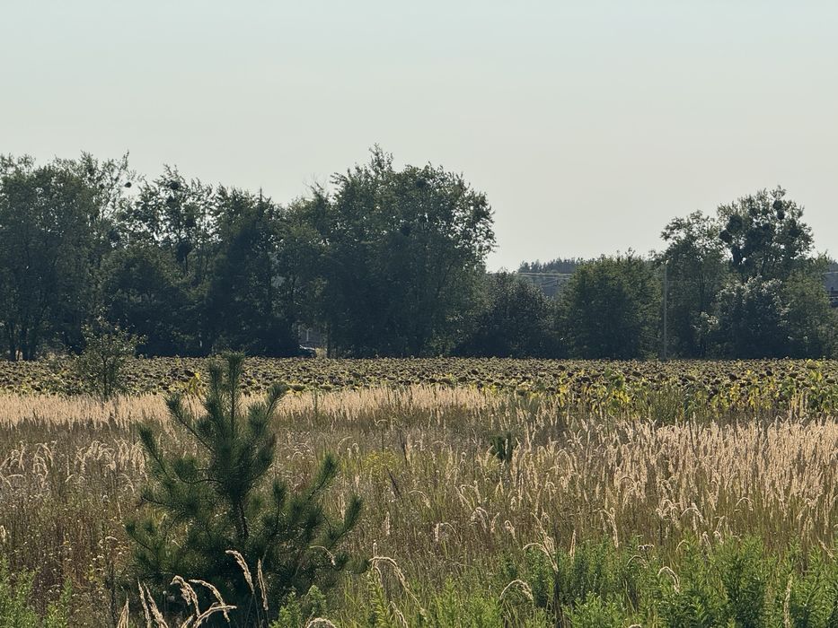 Продам ділянку під житлову забудову  5 соток, с. Рожівка, світло підключено 15 кВт та інтернет,7000$,власник!