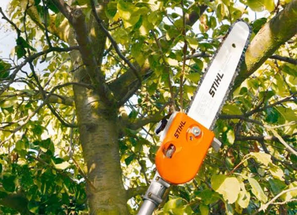serviços de jardineiro, poda de arvores e limpeza de quintais