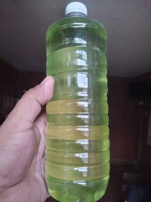 Água Verde Viva para Daphnias, Artêmias e Alevinos | Fitoplâncton Natural