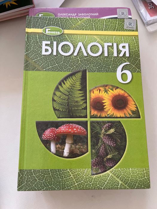 Підручники 6 та 7 клас