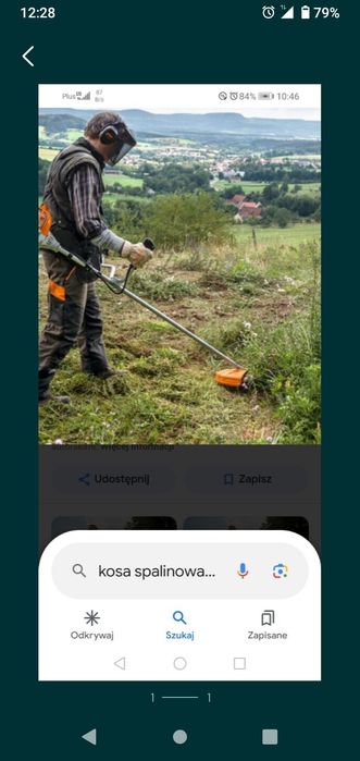 Trawa krzaki zarosla cięcie piłą drzewa