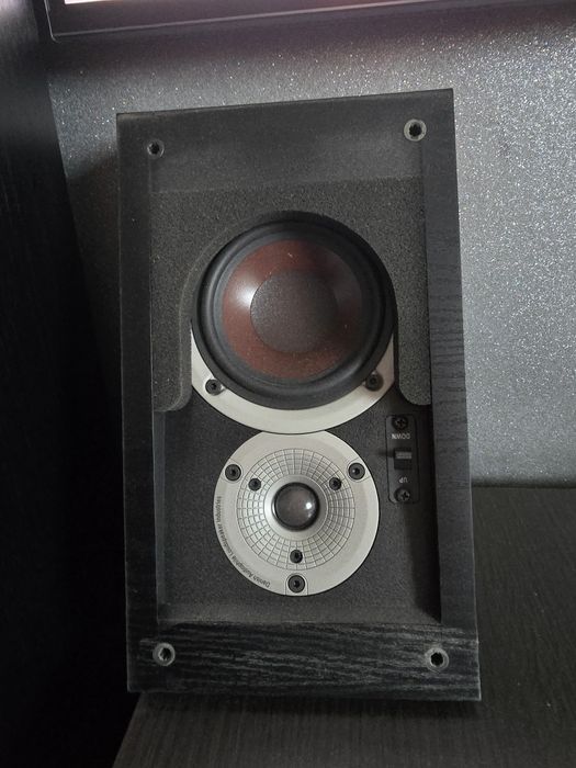 Głośniki Dali atmos