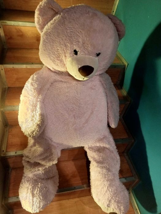 Sprzedam dużego różowego misia