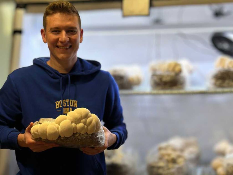 Mocny Ekstrakt z Soplówki (Lion's Mane) - Domowa Uprawa - Na Pamięć