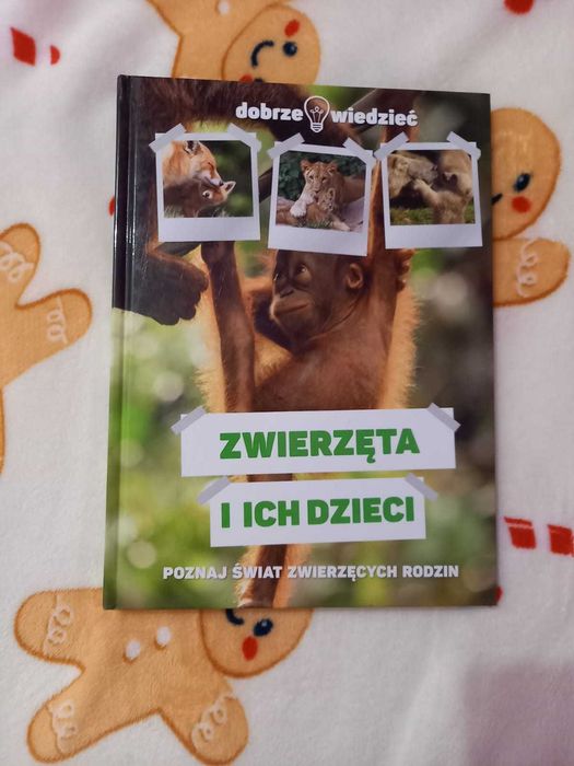 Zwierzęta i ich dzieci