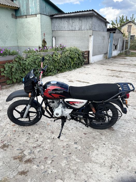 Баджадж боксер 125