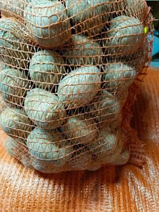 Ziemniaki Lily, Bellarosa-worki 15kg