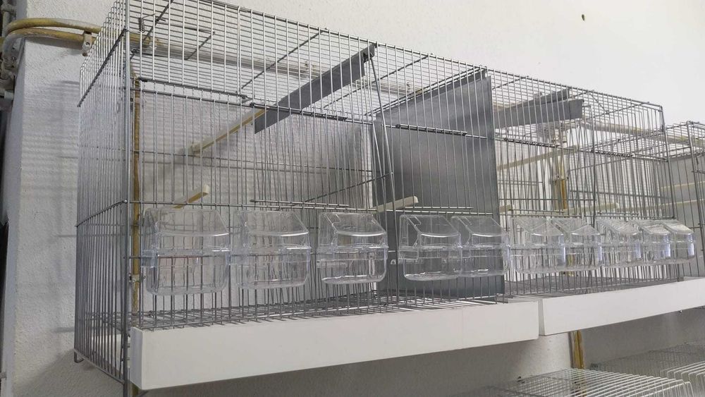 Viveiro Criação Nacional 103cm, 3 Divisórias, voadora, gaiola - NOVO