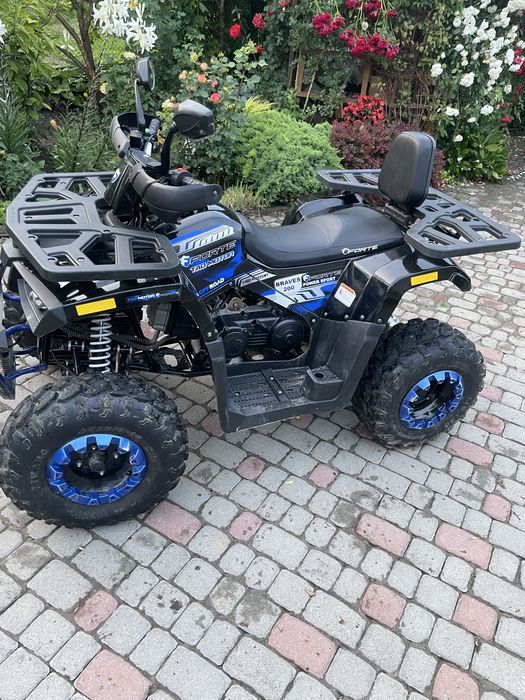 Квадроцикл Forte Braves 200 2024