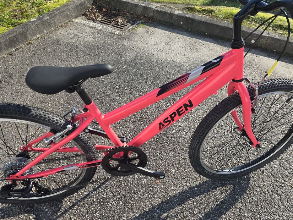 Bicicleta de crianca 24 nova varias cores