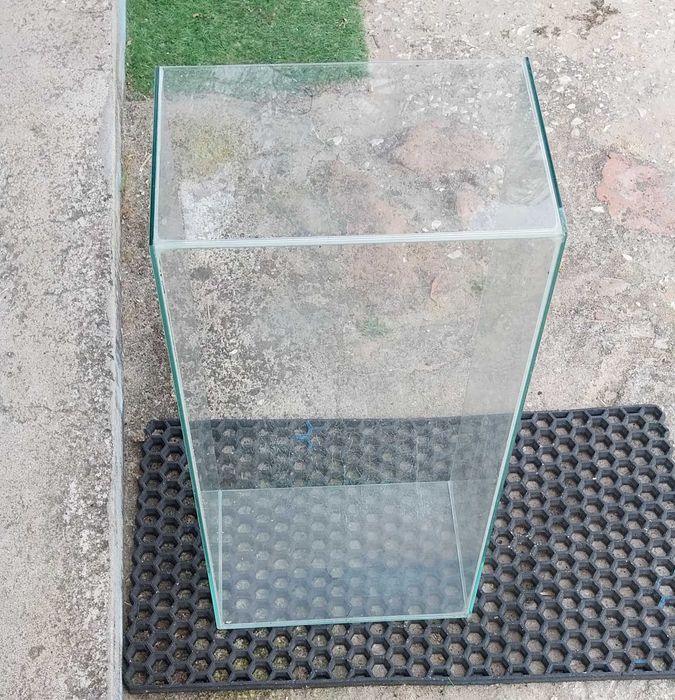 Tartarugueira L29, C59, P18