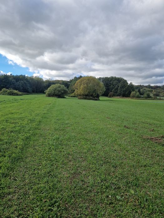 Działka nad Wisłą