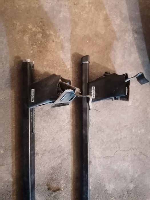 Barras de tejadilho scenic 00