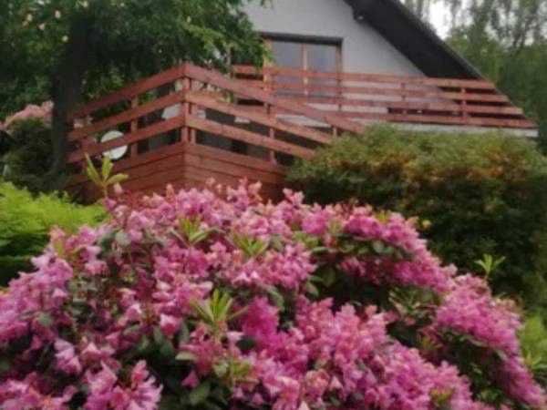 Domek w górach 120 zł/osoba – kawalerskie,panieńskie i zjazdy rodzinne