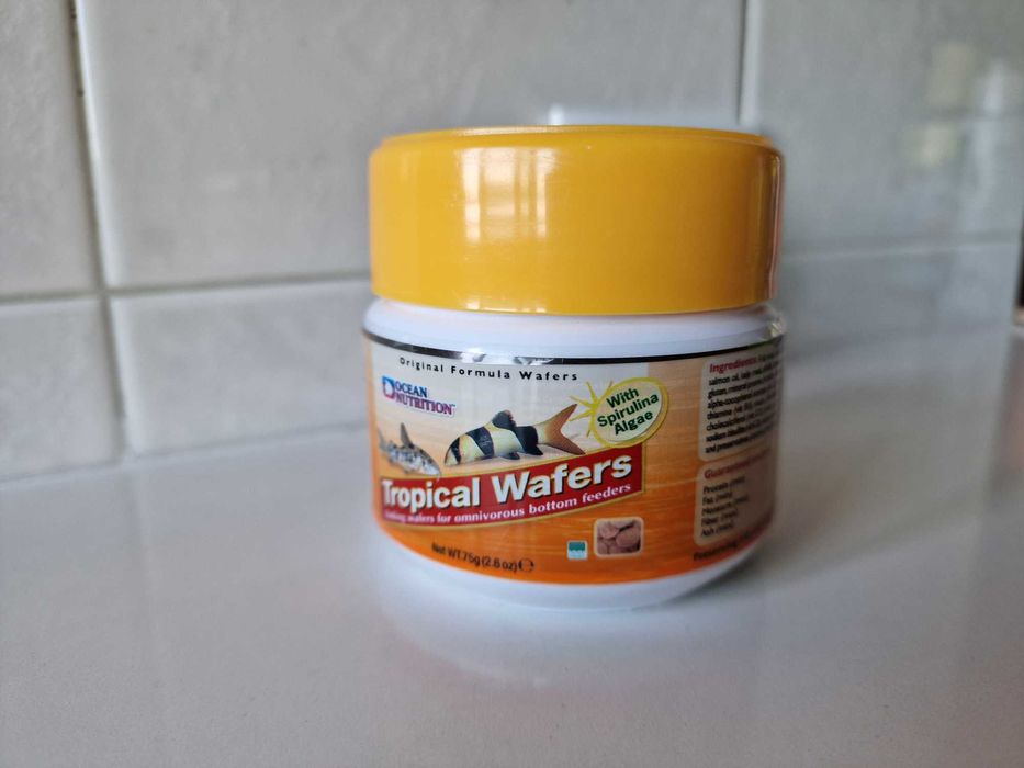 Aquário 30 L completo com tampa