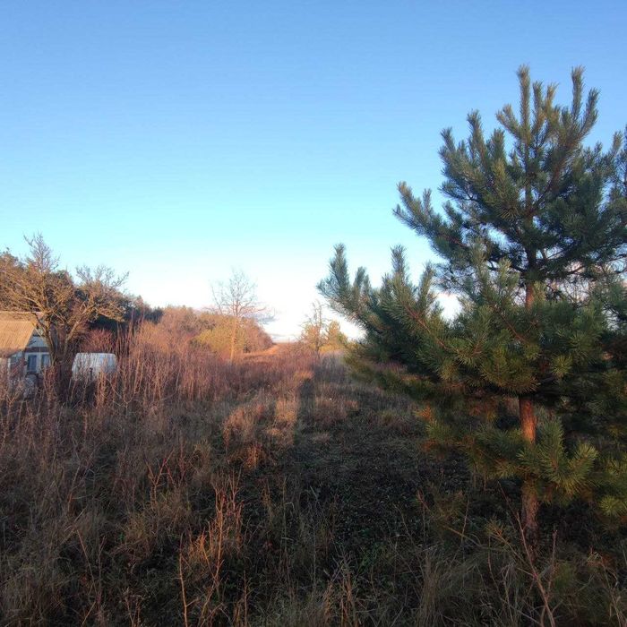 Продам ділянку під будівництво біля лісу!