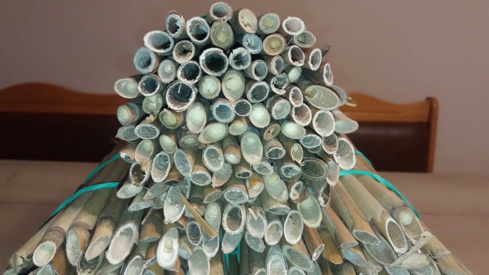 Trzcina dla murarki ,pęczki trzcinowe