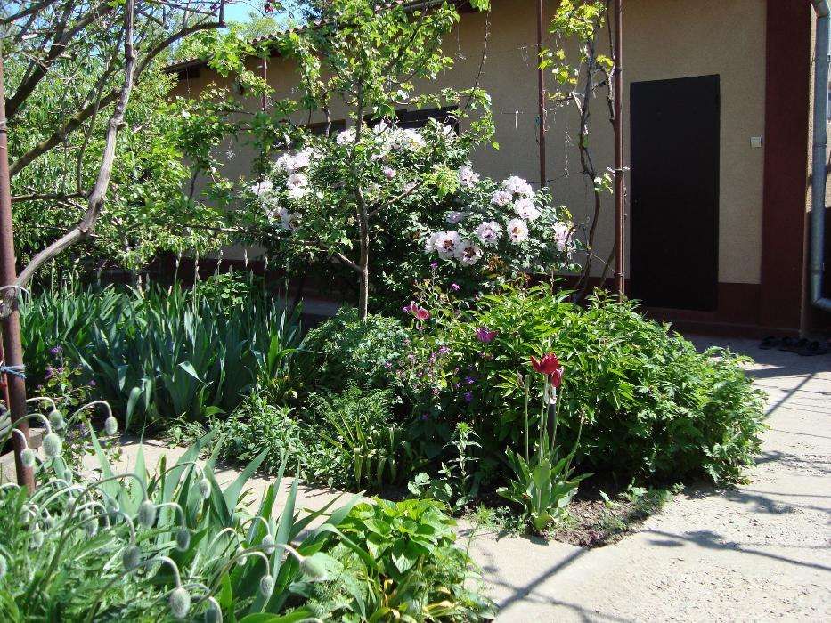 Дом по адресу (площадь 105 м²) - Atlanta.ua - фото 7