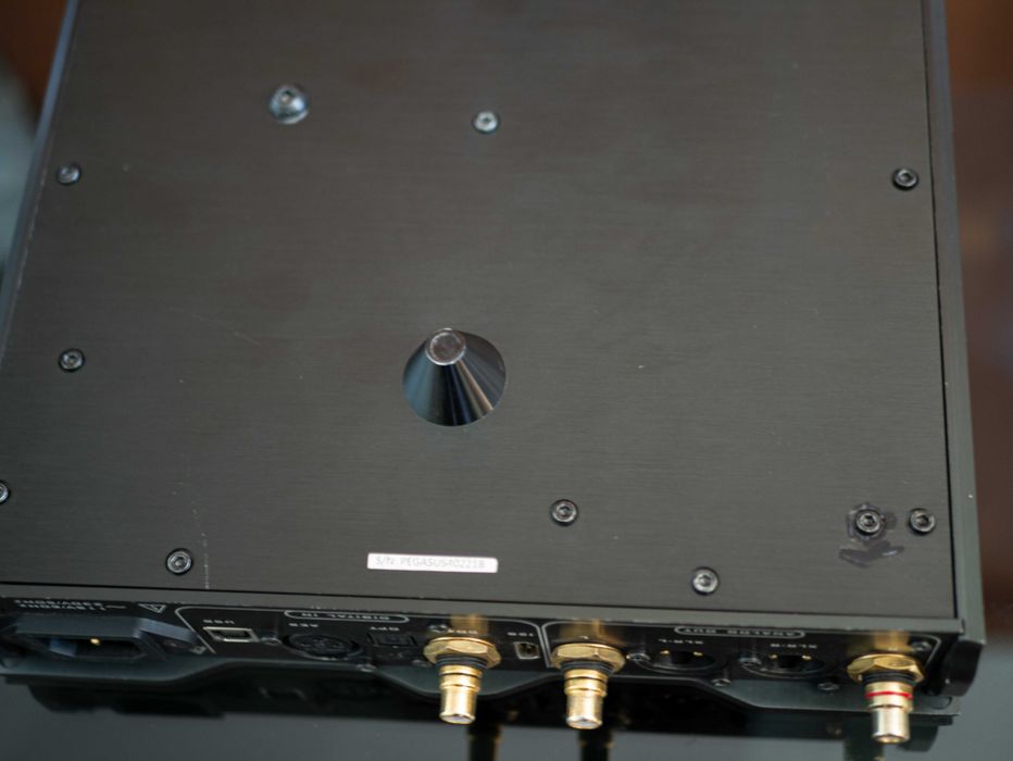 musician PEGASUS R2R przetwornik DAC