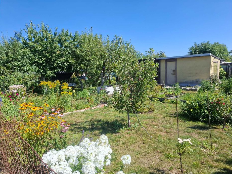 Telek, 300 m²