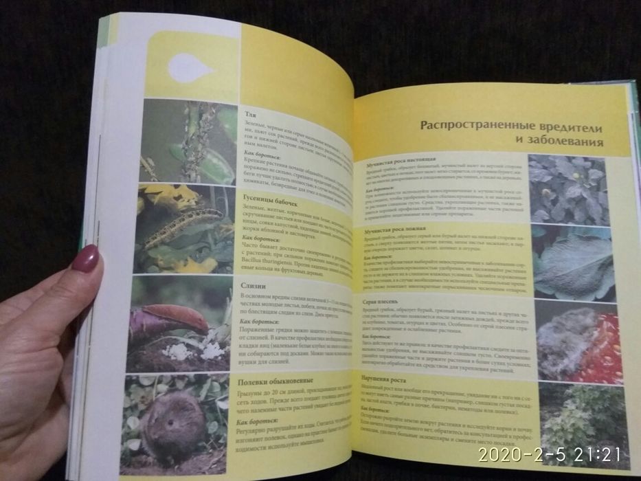 Йоахим Майер - Ваш сад