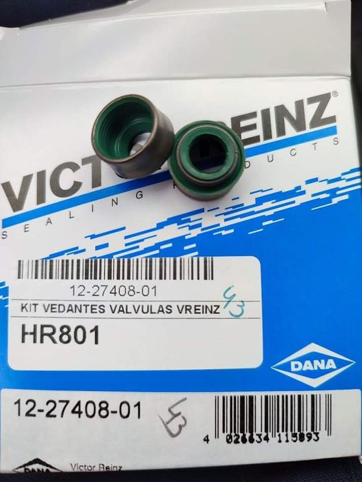 Cabeças / colassa AMC