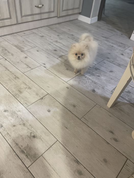 Чудова  міні дівчинка помка