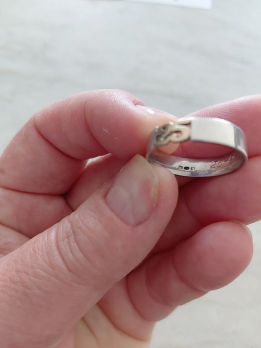 Aliança prata e ouro