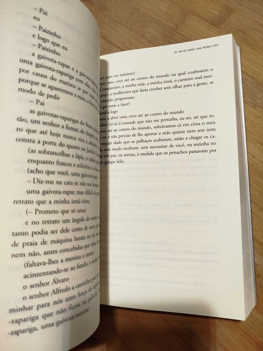 Eu Hei-de Amar uma Pedra de António Lobo Antunes