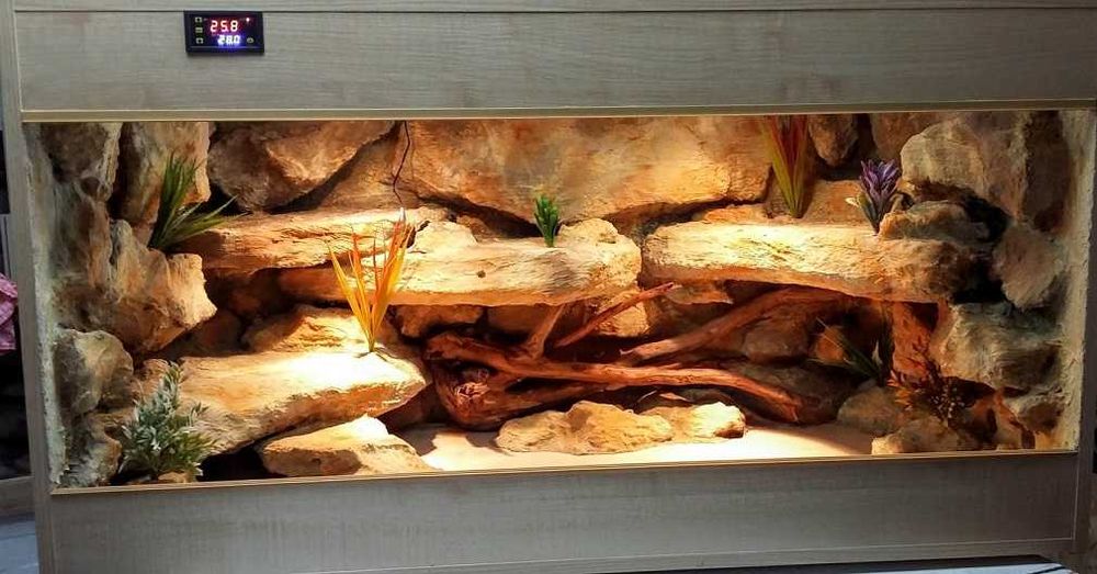Terrarium na zamówienie dla agamy 100x40x40