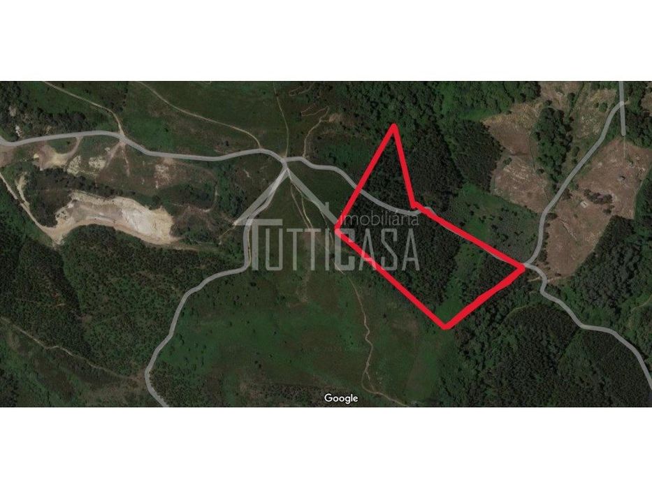 Terreno florestal na Malveira com 4hectares — Venda Do Pinheiro E Santo Estêvão Das Galés, Lisboa