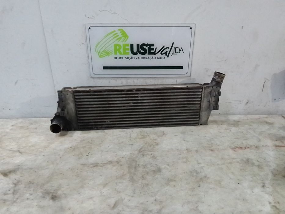 Radiador do intercooler RENAULT Grand Scénic II (JM0/1_)