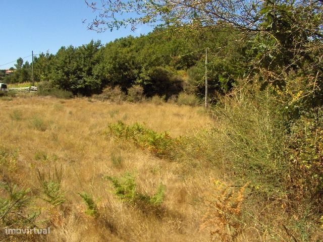 Terreno com 1.500m2 em Aboim - Fafe